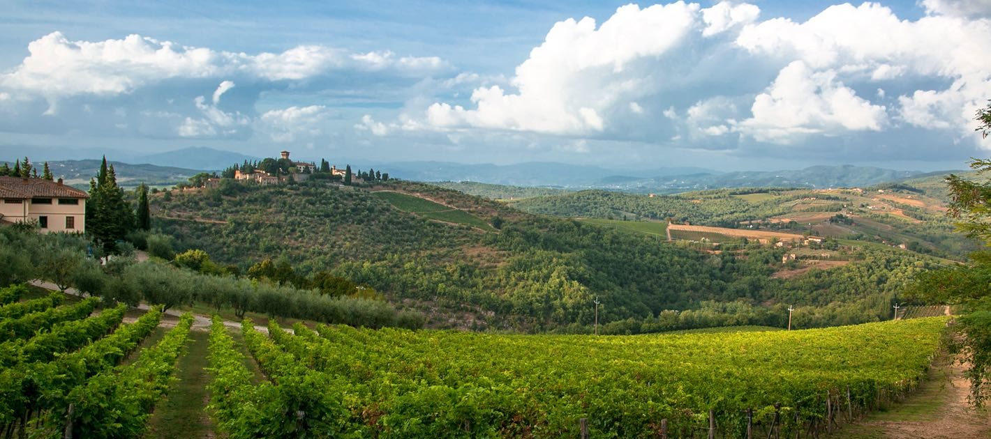 Wine Tour Tuscany